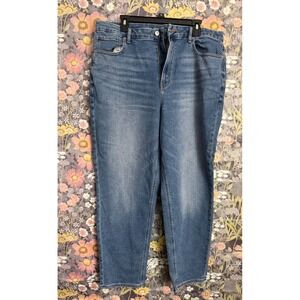 American Eagle Outfitters Womens Jeans Blue Stretch Classic Fit Size 18